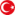 النسخة التركية